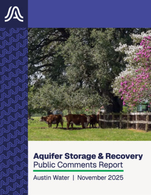 Thumbnail of the first page of the PDF