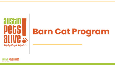 Thumbnail of the first page of the PDF