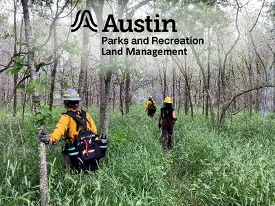 Thumbnail of the first page of the PDF